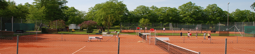 Tennisclub Volkach e.V.