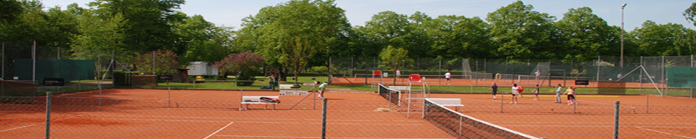 Tennisclub Volkach e.V.